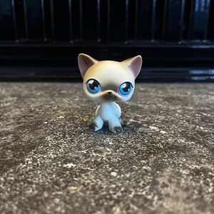 Littlest Pet Shop Shorthair #5🐾